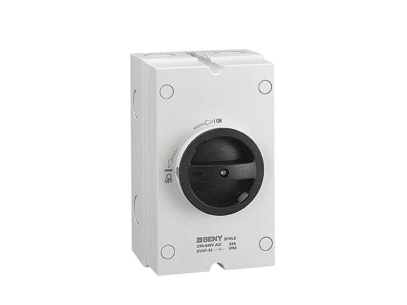 AC Isolator BYAF-63 IP65 63A