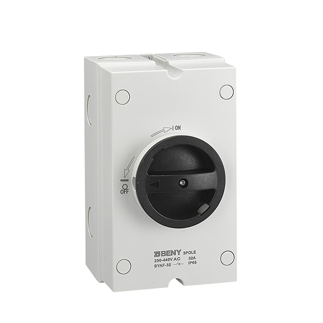 AC Isolator BYAF-63 IP65 63A